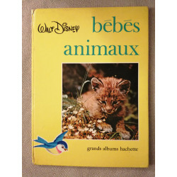 Bébés animaux