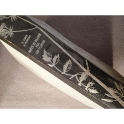 Sante et beaute par les plantes