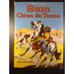 Sam Chien du Texas