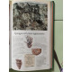 Guide Pratique Roches Et Mineraux