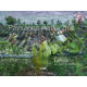 Paysages inattendus cahors... Des vignes et des hommes