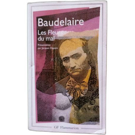 Les Fleurs du Mal