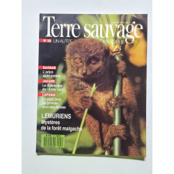 Terre seuvage nº 25