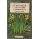 Je reconnais les fleurs