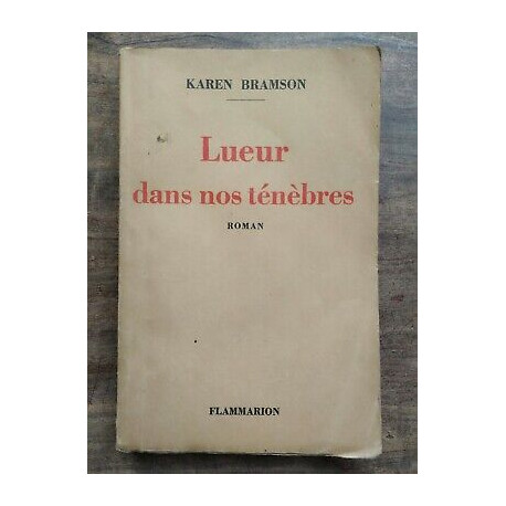 Lueur dans nos ténèbres flammarion