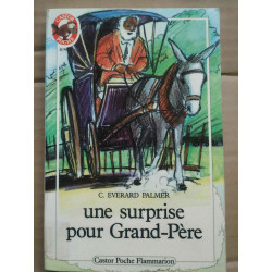 Everard Palmer Une surprise pour grand père Castor Poche flammarion