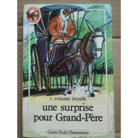 Everard Palmer Une surprise pour grand père Castor Poche flammarion