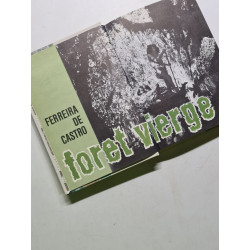 Foret vierge
