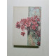 Foret vierge