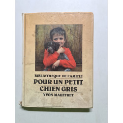 Pour un petit chien gris