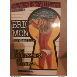 Michel brice Brigade mondaine Les fantasmes du notable Plon