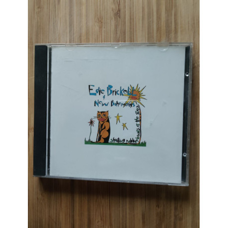 Edie brickell new bohemians