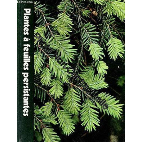 Plantes à Feuilles Persistantes