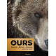 Ours: Portrait - Mythes - Histoire