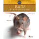 Rats d Appartement