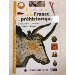 Les enigmes de la france prehistorique