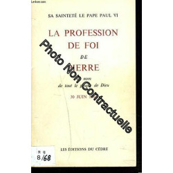 LA PROFESSION DE FOI DE PIERRE AU NOM DE TOUT LE PEUPLE DE DIEU....