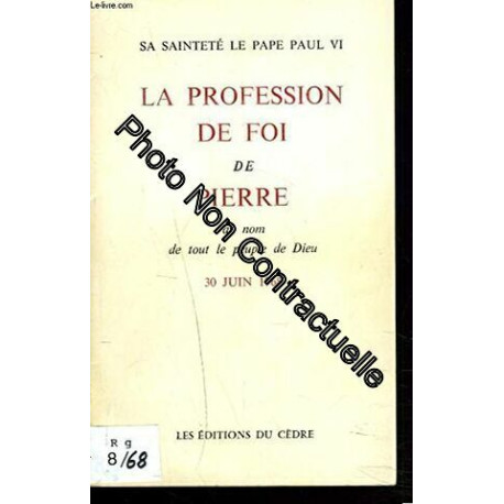 LA PROFESSION DE FOI DE PIERRE AU NOM DE TOUT LE PEUPLE DE DIEU....