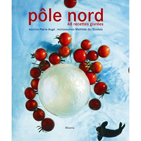 Pôle Nord : 48 recettes givrées Pôle Nord : 48 recettes givrées