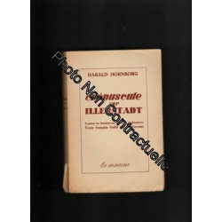 Harald Hornborg. Crépuscule sur Illerstadt : Traduit du suédois...