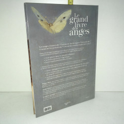Penna Guastalla LE GRAND LIVRE DES ANGES De Vecchi