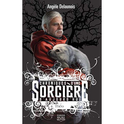 Chroniques d'une sorcière d'aujourd'hui - tome 4 Théo (04)