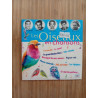 Les Oiseaux en chansons