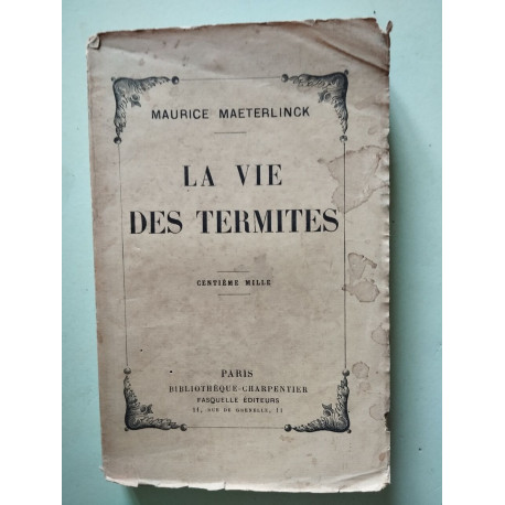 La vie des termites