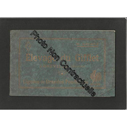 Plaquette ELEVAGE DU GIFFLET à Abbeville (Somme) lignées de...
