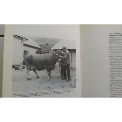 LE TEMPS DES VILLARDES une race bovine de montagne