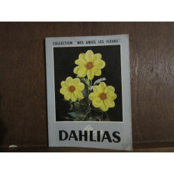 MES DAHLIAS