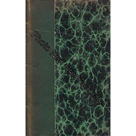 Journal d'un Voyageur pendant la Guerre