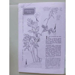 La hulotte n° 58 - 1987