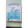 Au Fond de la Mer