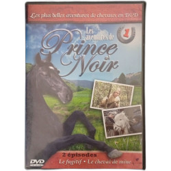 Les aventures de Prince Noir
