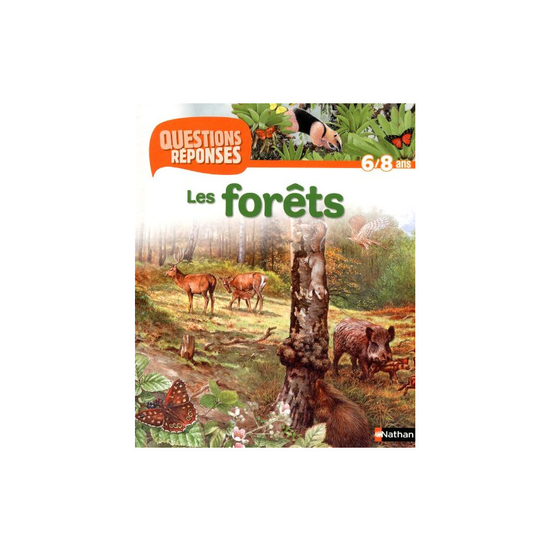 Les forêts