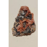 Cerusite barytine sur galène BCG1 40g 52mm38mm