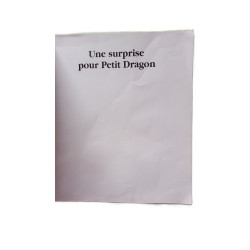 Une surprise pour petit dragon