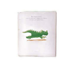 Une surprise pour petit dragon