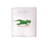 Une surprise pour petit dragon