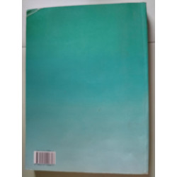 L'organisation de l'espace mondial terminales