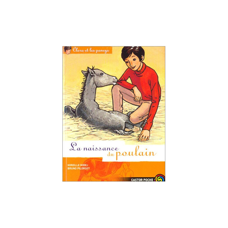Clara et les Poneys tome 3 : La Naissance du poulain Clara et les Poneys tome 3 : La Naissance du poulain