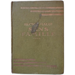 Sans famille - tome I