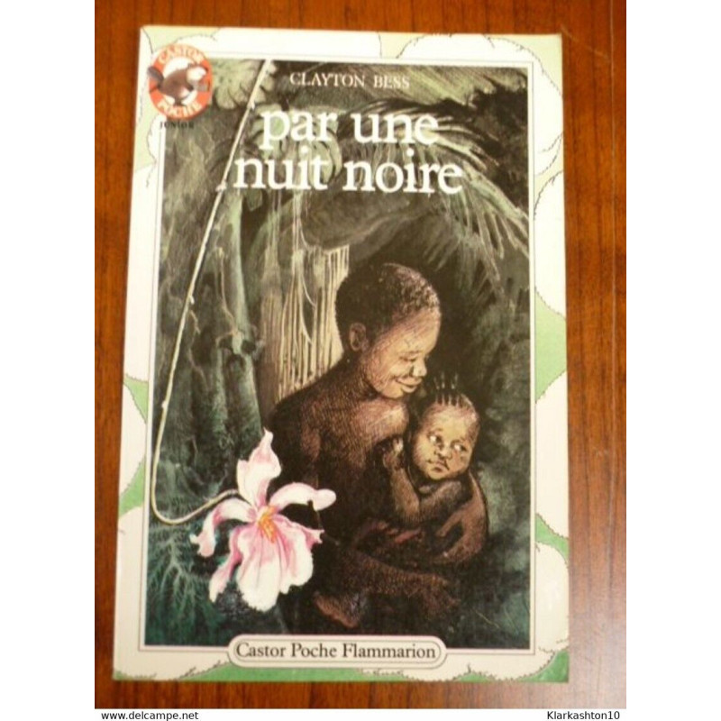 Par une nuit noire - Castor Poche
