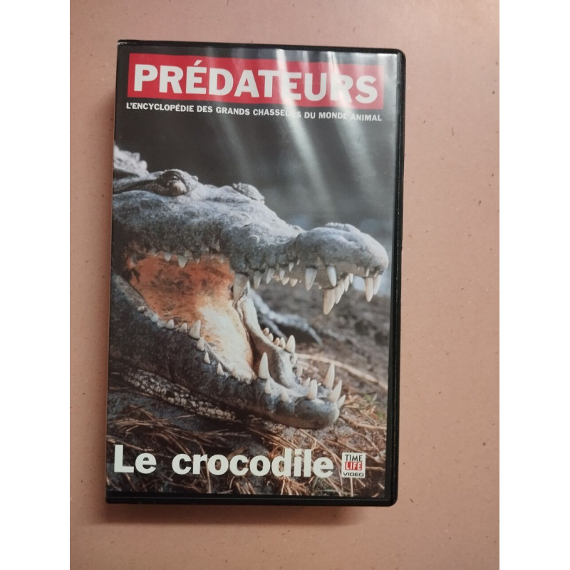 Prédateurs : le crocodile