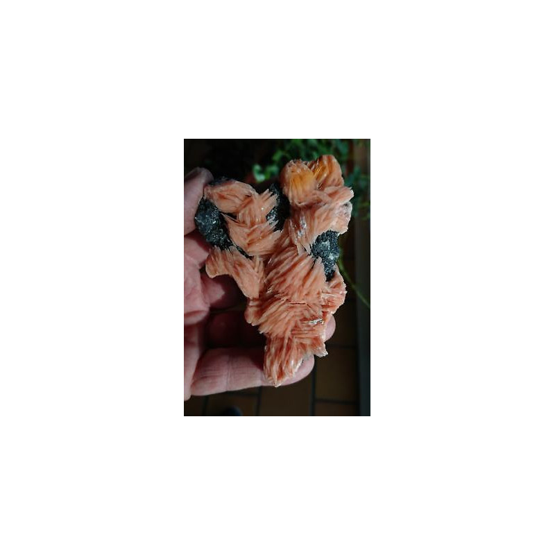 Barytine rose galène mibladen Maroc RBRG6 376g 85mm70mm