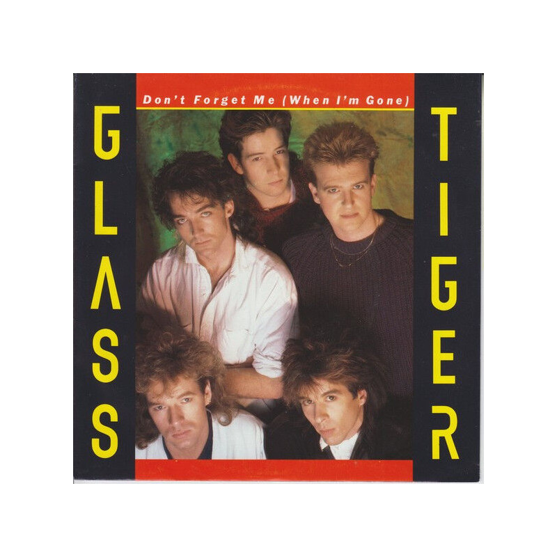 Don't Forget Me (When I'm Gone)