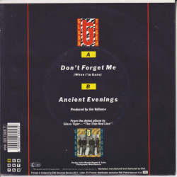 Don't Forget Me (When I'm Gone)