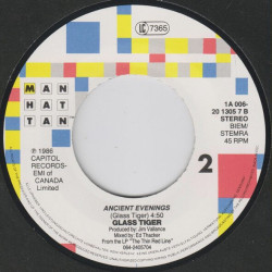 Don't Forget Me (When I'm Gone)