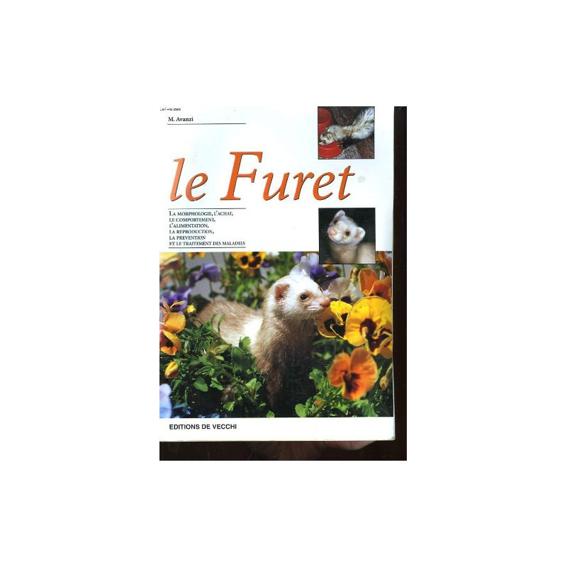 Le furet Le furet